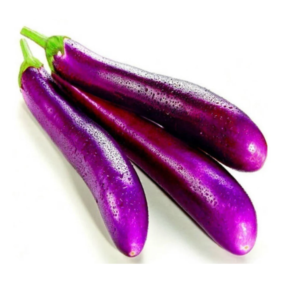 Chinese Eggplant 1lb – JFK Grocery Inc.