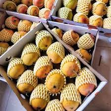 ALPHONSO MANGO BOX (INDIAN) 6.5LB – JFK Grocery Inc.